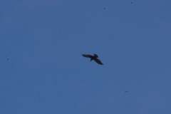 257554215_10158200801036441_8561811270631298038_n