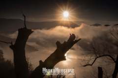 257956694_10158200801016441_5727965132884235603_n