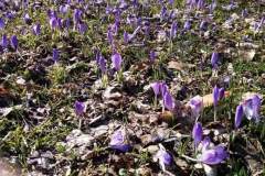 334330309_601830781802520_2631120537182401156_n