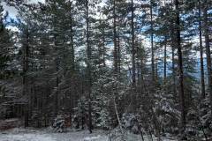 335601765_753932586140890_2908631104555511035_n