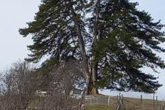 335930056_170001895882071_7888652060174160465_n