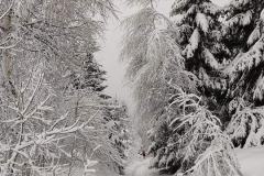 266129849_10158247138441441_8494809701879510280_n