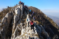 250803377_10158174526616441_319728847566815861_n