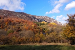 250868371_10158174525391441_3165392189899434079_n