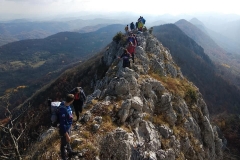 250988882_10158174526181441_1266503872381268893_n