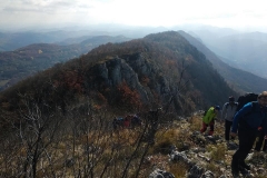 251579247_10158174525941441_3440978516760217364_n