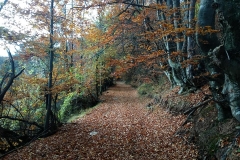 251638598_10158174525616441_6936470093044027879_n