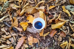 395455331_888633156320285_5637635879105774465_n