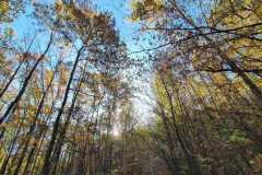 396555324_888633762986891_1621010395961971692_n