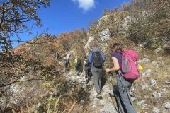 397245138_888634619653472_5656248790191183899_n