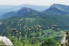 347279741_804669804716621_1545064524950379400_n