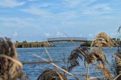 494427619_1294658399051090_6361763638099163385_n