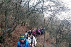 143042348_10157568187866441_529516363114355641_n