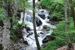 350123740_227552646658396_1185862214079709770_n