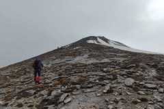 350334123_937937427462042_3324625000443878940_n