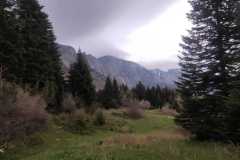 350511579_268263612444478_8971858381558166353_n