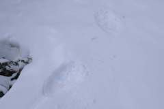 657528140_1583701510146776_1321859164904972922_n