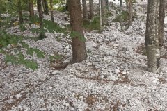 548605945_1415711913612404_4457524366362055849_n