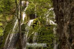 279165894_10158456242316441_9049772982911331954_n