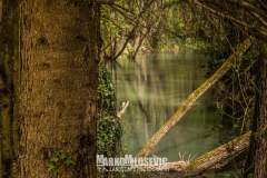 279178235_10158456241976441_2270463418440103337_n