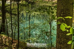 279294100_10158456244426441_6220922719100434538_n