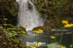 279301020_10158456241751441_6437311819216951027_n