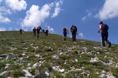 205595954_10157937181006441_7451587165576514064_n