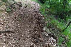 206079324_10157937179786441_8654443771338940975_n