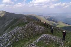 207340038_10157937181536441_1083235503386125815_n