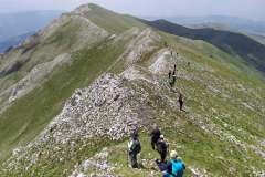 208204147_10157937181516441_1878732252295374025_n