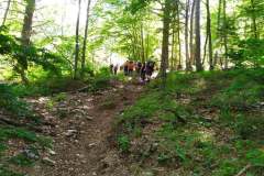 208525749_10157937182571441_6289946271537430055_n