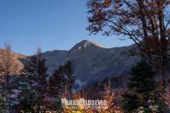 251016543_10158175763866441_1207175822423858368_n