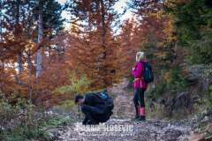 251136881_10158175764026441_5233181781875773380_n