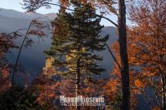 251255928_10158175766496441_2130474344341225644_n