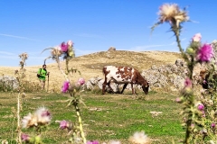 374581401_855977862919148_1285472940875436318_n