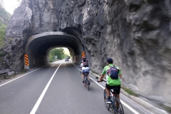 241023536_10158058182306441_2439500021909710069_n