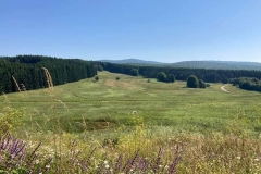 Kučajske planine