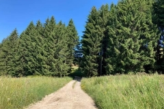 348616447_821292806387654_8651599499154494788_n