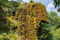 348646637_821292683054333_3383150425136759146_n