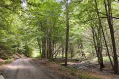 356190575_821292636387671_5256942269500041031_n