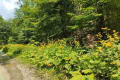 356191903_821292679721000_3979850731309067852_n