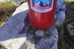 391696043_875939327589668_8814045863423180080_n