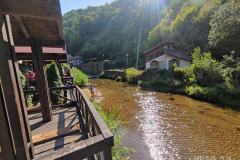 240804464_10158062496676441_5125646858662308079_n