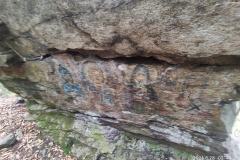 241040998_10158062495221441_7118976957103409000_n