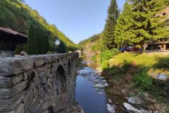 241105518_10158062496516441_8196062481903161698_n