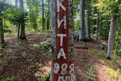 241134248_10158062496126441_4876114356070355165_n