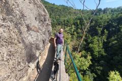 241135401_10158062496331441_7820980567517621532_n