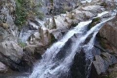 241142087_10158062496391441_7550022623564640895_n