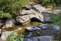 241149556_10158062495841441_7793278868557031617_n