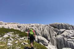 509365189_1336984341485162_1094468455629130033_n